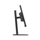 Lenovo E29W-20 29" 21:9 Monitor, DP, HDMI, Tilt, Swivel, H/Adjust 62CEGAR3AU