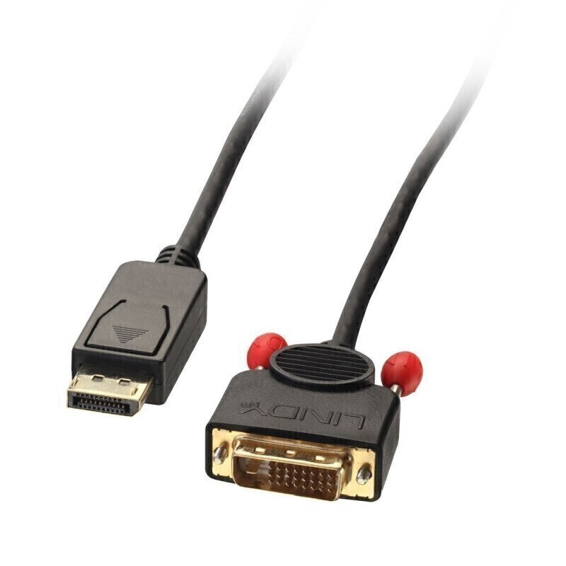 Lindy 1m DisplayPort to DVI Cable